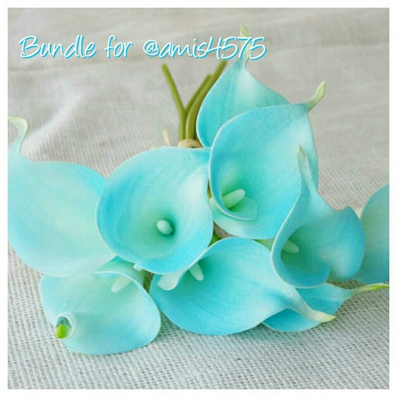 BUNDLE FOR @amis4575 ONLY