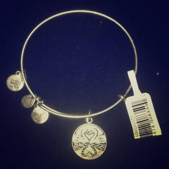 ALEX AND ANI "The Perfect Pair" silver bracelet