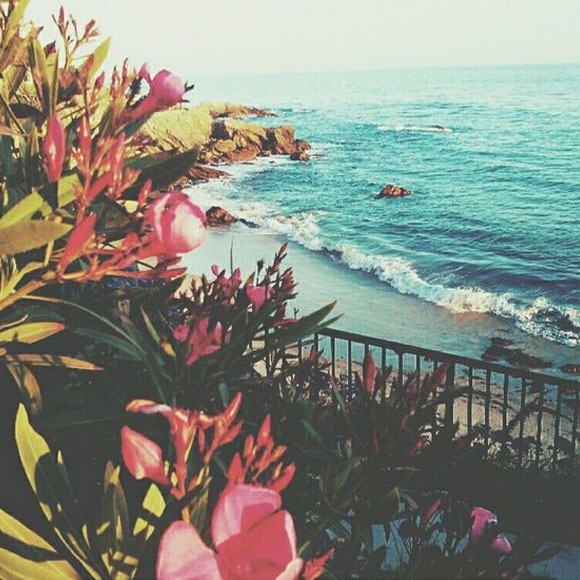 I'm a Suggested User!  - Picture 6 of 6