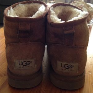Women's Classic Minni Uggs in Chestnut color