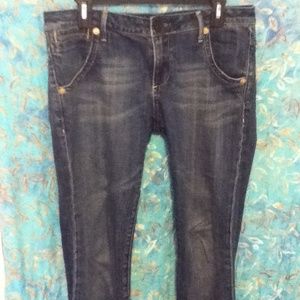Vigoss Dark Blue Skinny Jean
