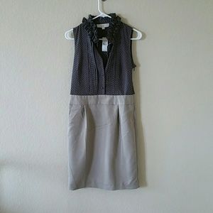 Ann Taylor Loft shift dress