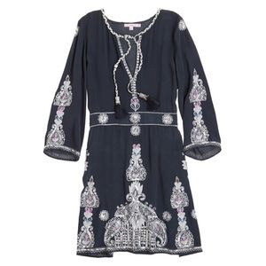 Embroidered Silk Mini Dress