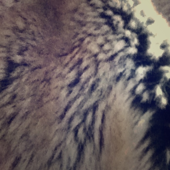 FAUX FUR