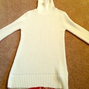 Terrific turtle neck