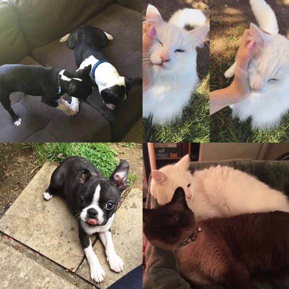 Meet Your Posher! - Picture 4 of 7