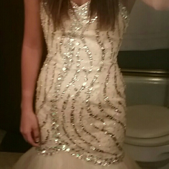 Prom Dress - Picture 3 of 4
