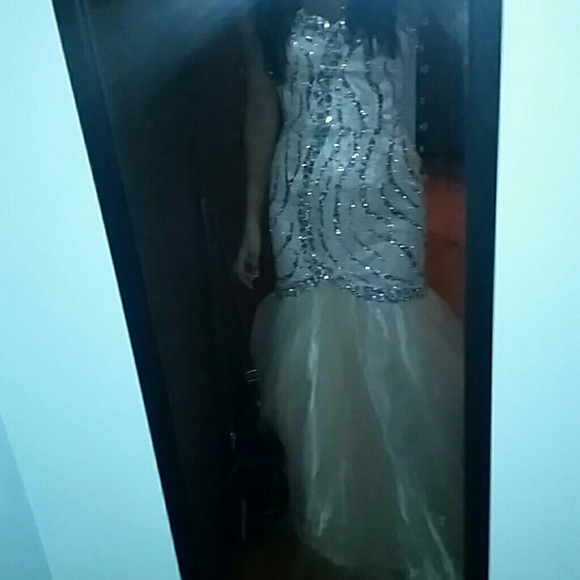 Prom Dress - Picture 4 of 4