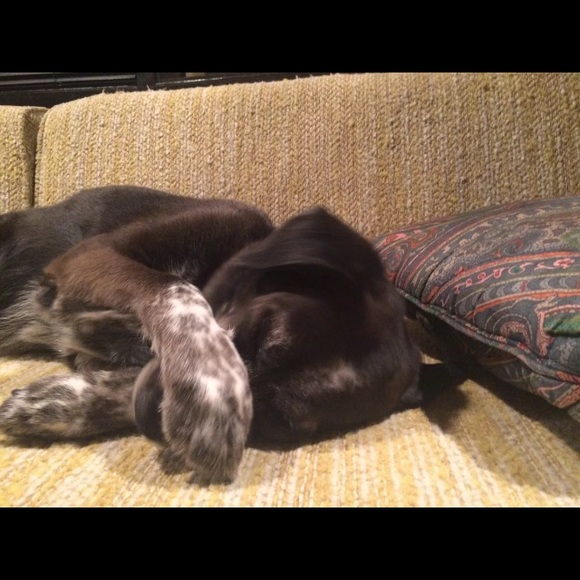 Everything must go!!!!