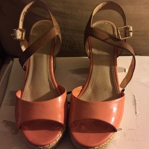 Coral Wedges