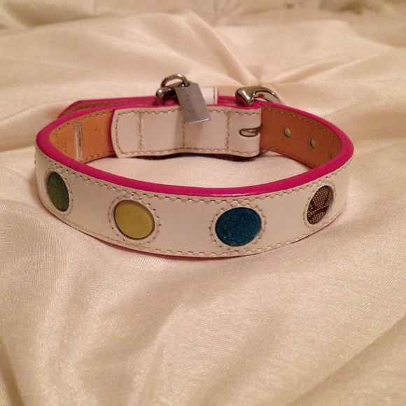 Pet coach collar