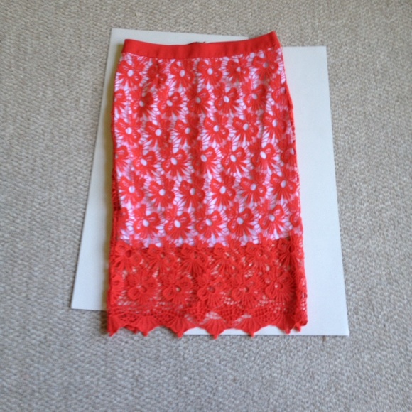 WELL GRACE - Pencil lace skirt - Picture 4 of 4