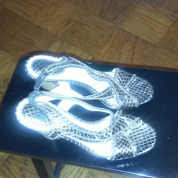 Frye snake skin