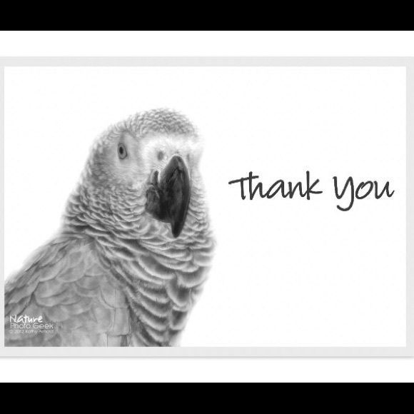 THANK YOU!!
