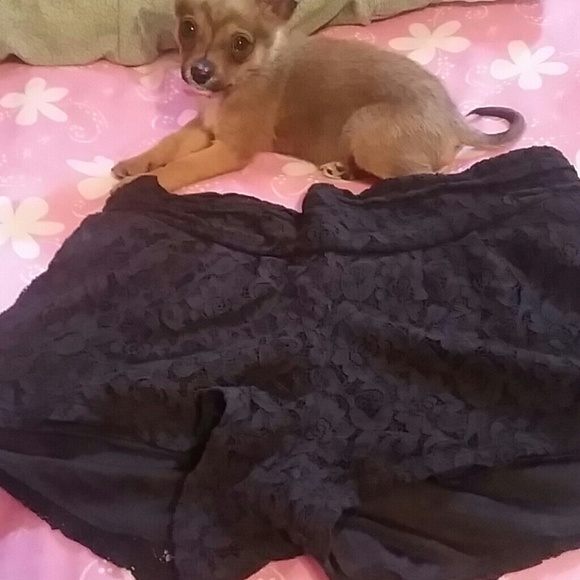 Black Lacey Shorts
