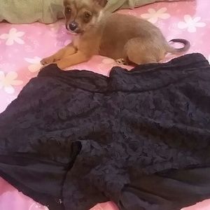 Black Lacey Shorts