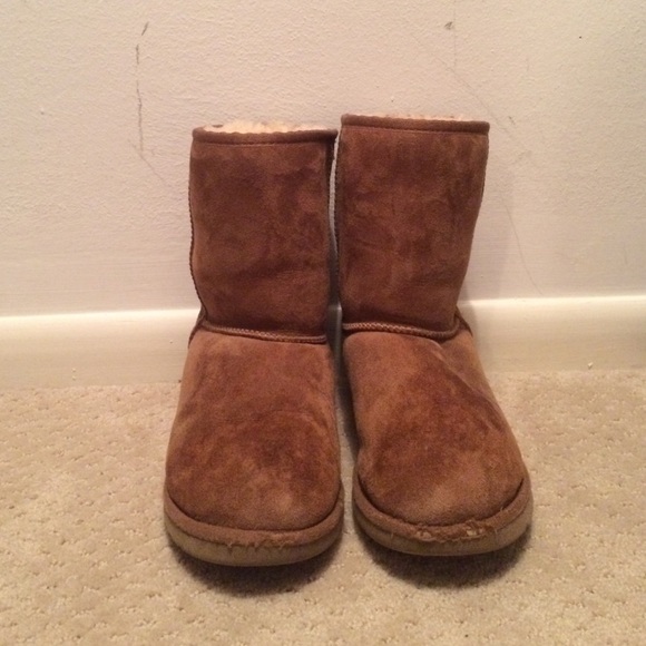 Chestnut Short Uggs