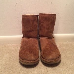 Chestnut Short Uggs