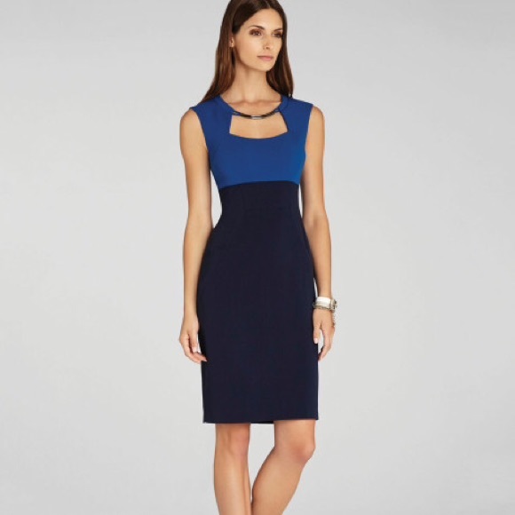 Bcbg Clara dress