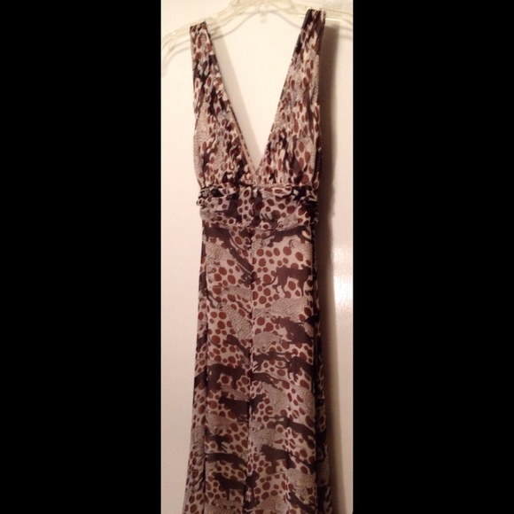 Beautiful Cheetah Dress.