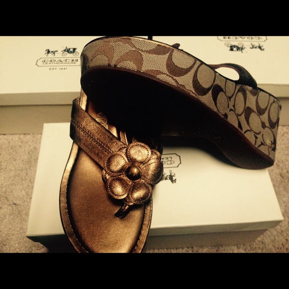 Coach Wedges