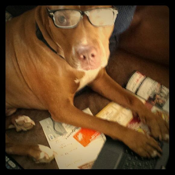 My Sancho