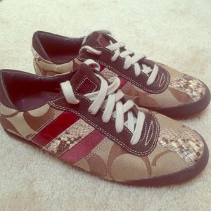 Snake Skin Coach Shoes