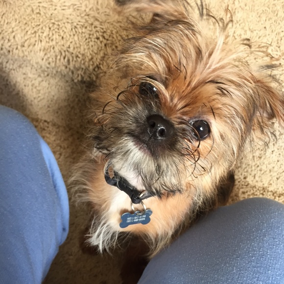 Meet your seller! ๐๐๐๐ - Picture 3 of 4