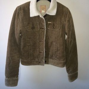 Hollister Warm Jacket