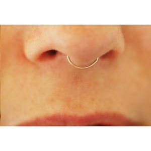 Set of 2 Fake Septum Nose Rings