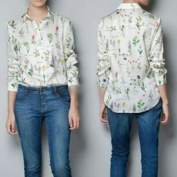 Plants button up top