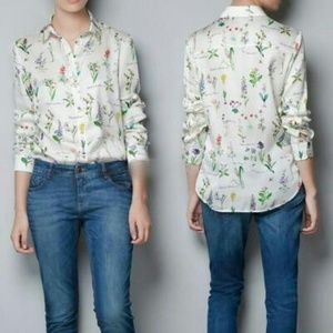Plants button up top