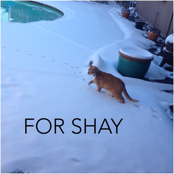 FOR SHAY