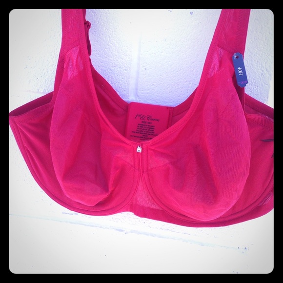 First and Curve bra. (Dillard's brand)
