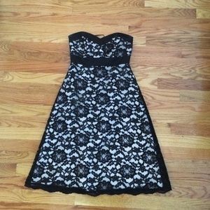 Lace Dress from White House Black Market