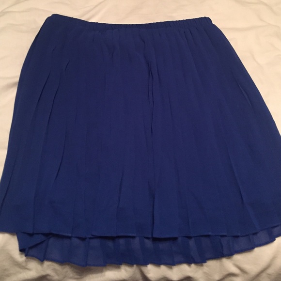 Chiffon Pleated Circle Skirt