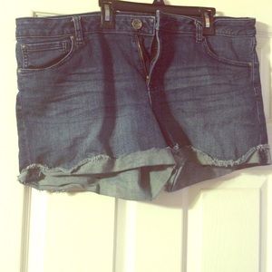 Shorts by Ana 33/16