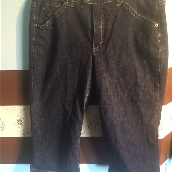 Size 18 capris