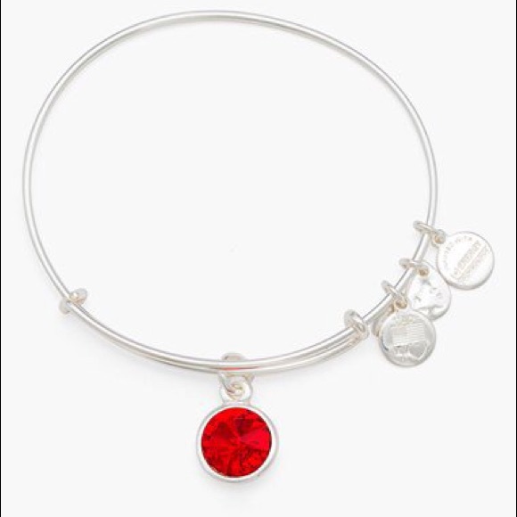 Alex & Ani Capricorn bracelet