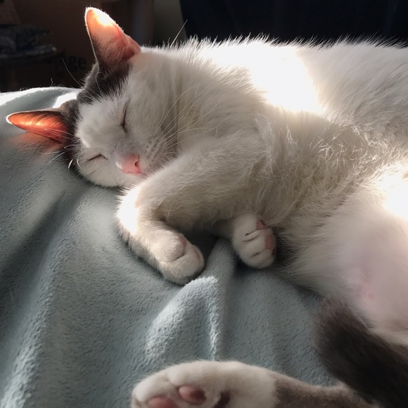 👋Meet me!👈 - Picture 4 of 5