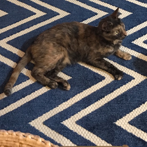 👋Meet me!👈 - Picture 5 of 5