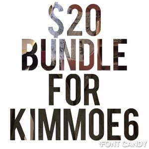 $20 Bundle, high waisted shorts and utility jacket