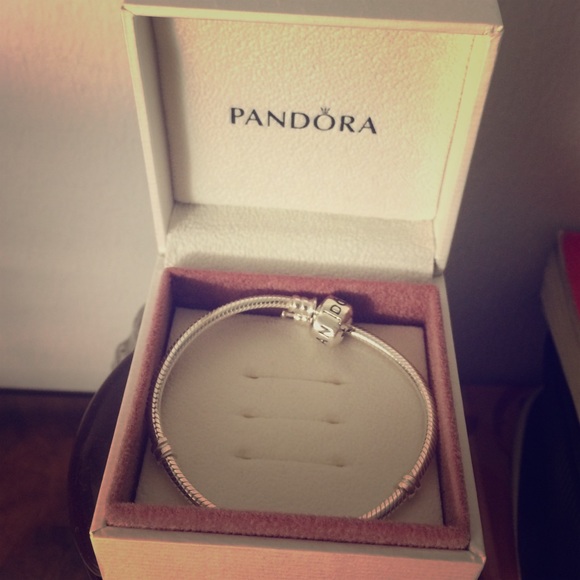 NWOT pandora bracelet