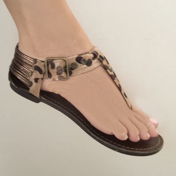 Steve Madden Cheetah & Bronze Sandals