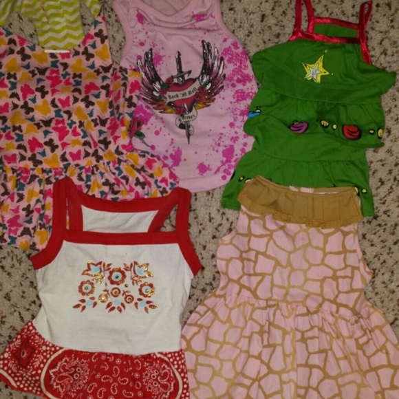 Bundle of 5 dog clothes
