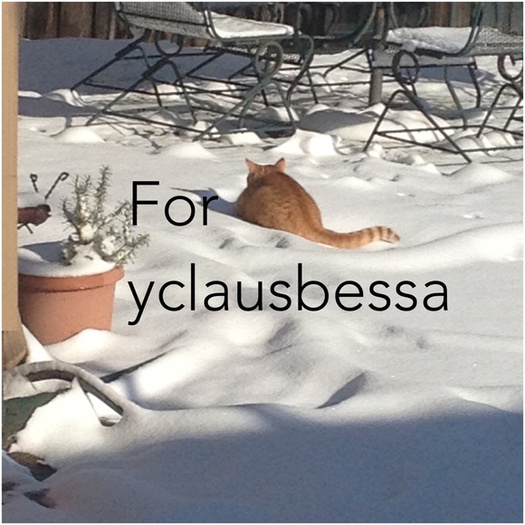 @Yclausbessa ' s BUNDLE