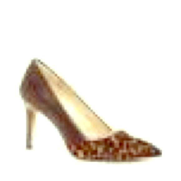 Pumps