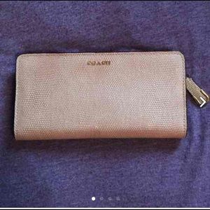 Coach Madison Skinny Lizard