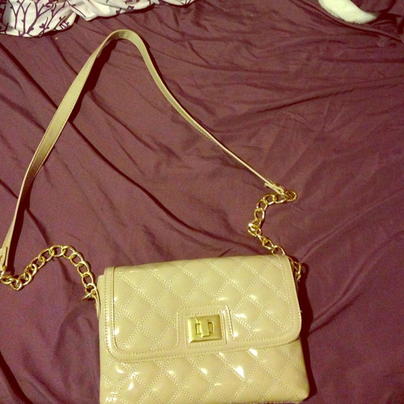 Steve Madden bag