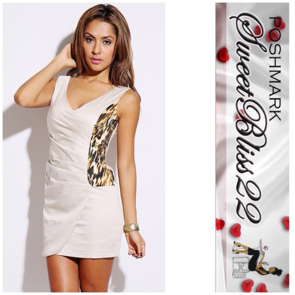 Dresses & Skirts - 💥  Animal Print Dress 💥